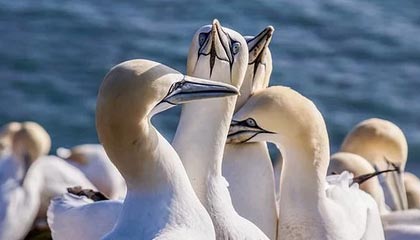 C7娱乐官网|排球赛事v6.4.1